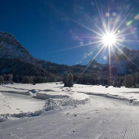 Appartament Alpenheim Apartament